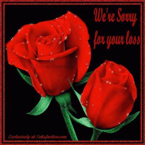 Sorry For Your Loss Red Roses GIF