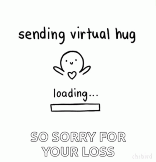 Sorry For Your Loss Sending Virtual Hug GIF