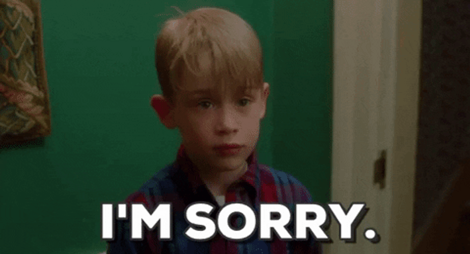 Sorry Home Alone GIF