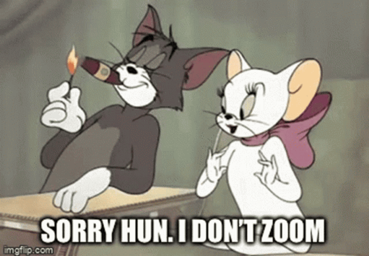 Sorry Hun I Don't Zoom GIF