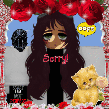 Sorry I Am Not Perfect GIF