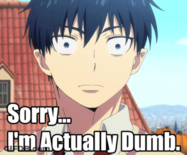 Sorry Im Actually Dumb GIF