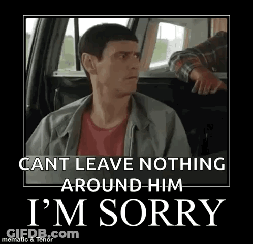 Sorry I’m Sorry GIF