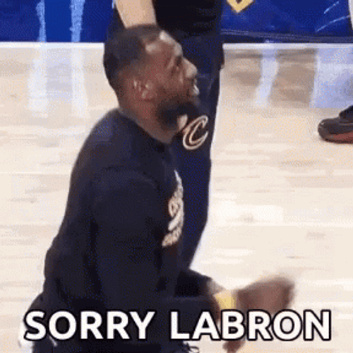 Sorry Lebron Flop GIF