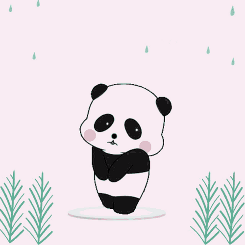 Sorry Sad Panda GIF