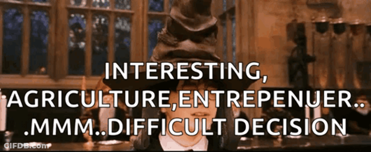 Sorting Hat Agriculture Enterpreneur GIF