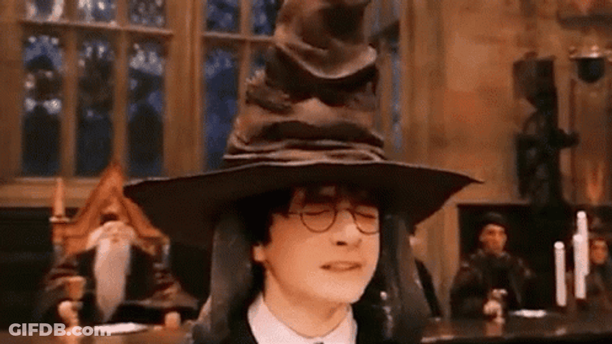 Sorting Hat Harry Potter Iron Rank In Valorant GIF