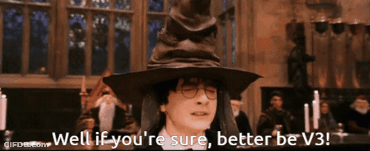 Sorting Hat Well If Youre Sure Better V3 GIF