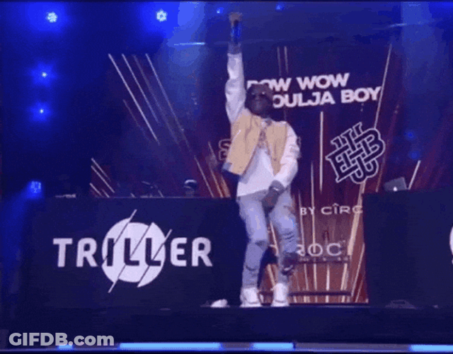 Soulja Boy Performing With Bow Wow GIF