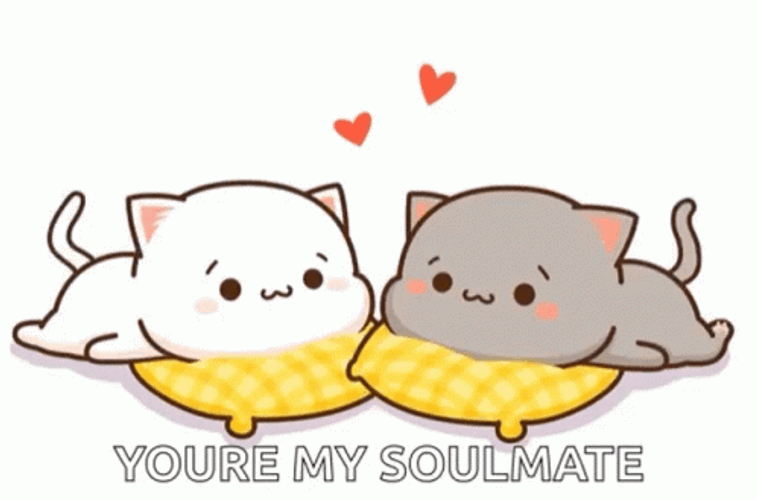 Soulmate Animated Cats Peach Goma GIF