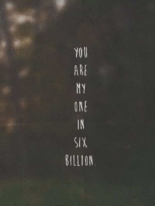 Soulmate Romantic Love Quote GIF