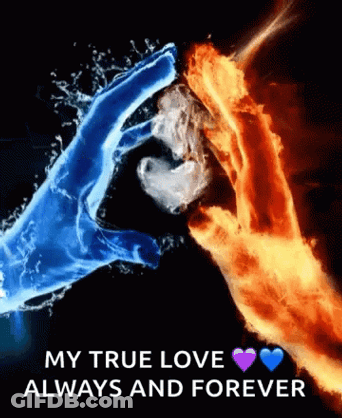 Soulmate True Love Forever Quote GIF