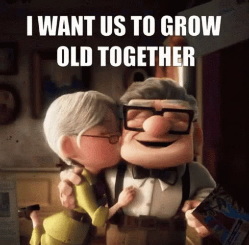 Soulmate Up Movie Carl And Ellie GIF