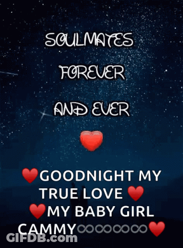 Soulmates Forever And Ever Poster GIF