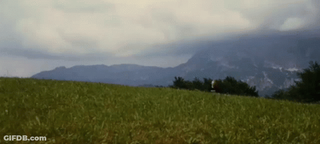 Sound Of Music Julie Andrews On The Hill GIF
