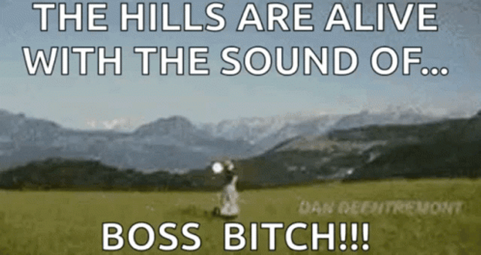 Sound Of Music The Hills Are Alive Julie Andrews GIF