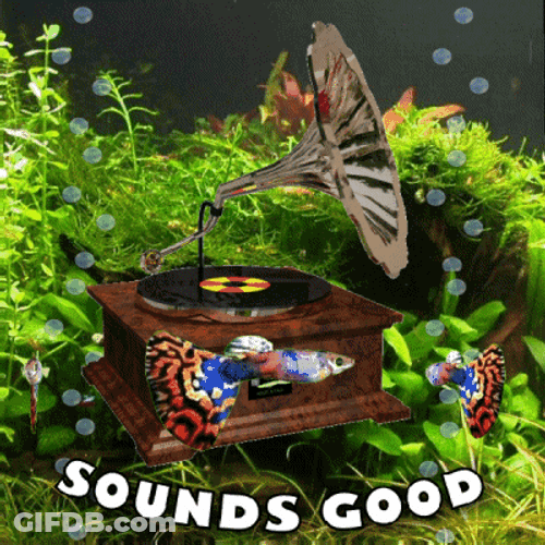 Sounds Good Vinyl Player Underwater GIF