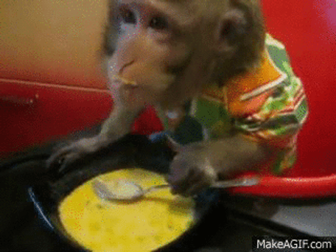 Soup Lover Monkey GIF