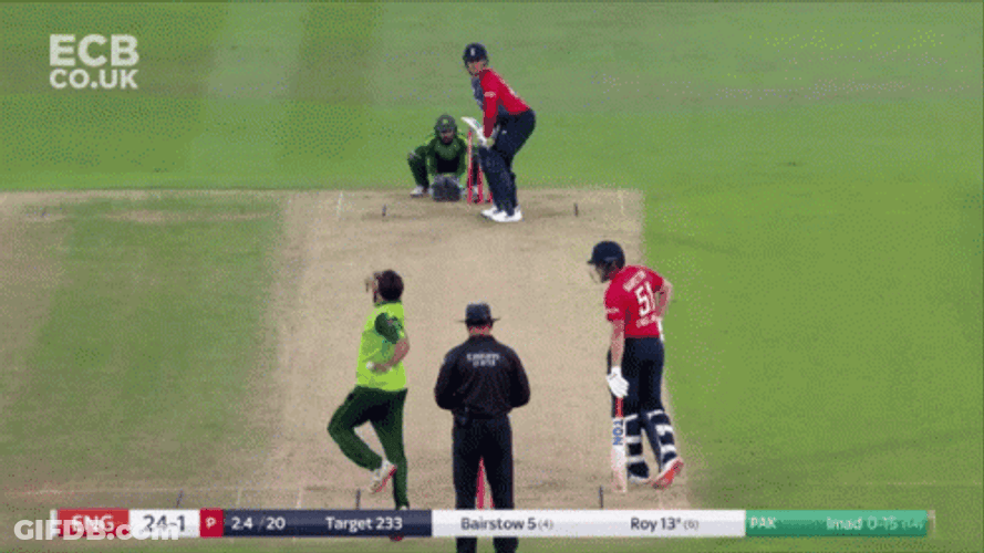 South African Cricketer Jason Roy GIF