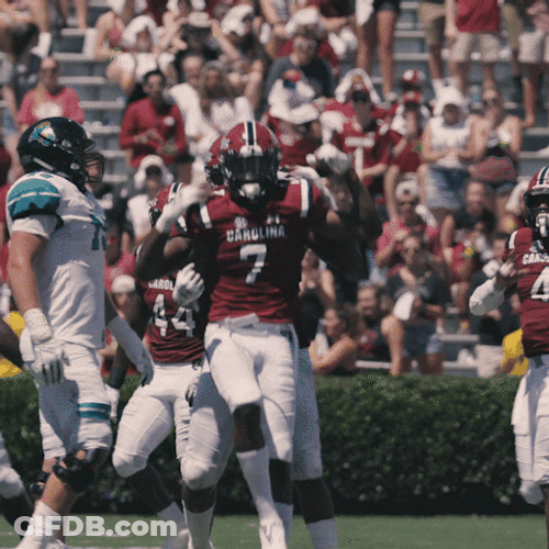 South Carolina Gamecocks Celebrating GIF