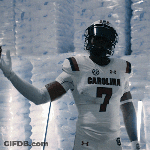 South Carolina Gamecocks Come On GIF