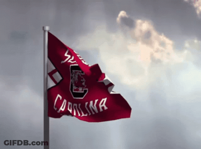 South Carolina Gamecocks Flag GIF