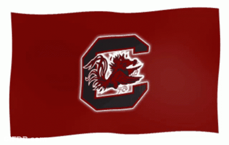 South Carolina Gamecocks Flag GIF