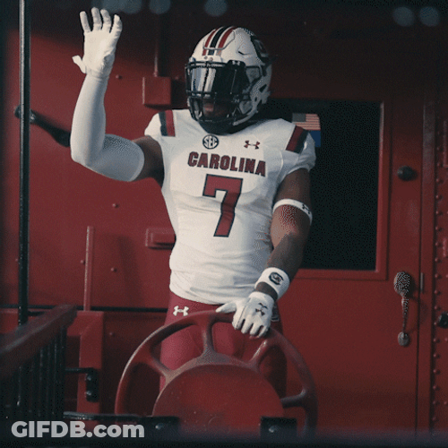 South Carolina Gamecocks Game On GIF