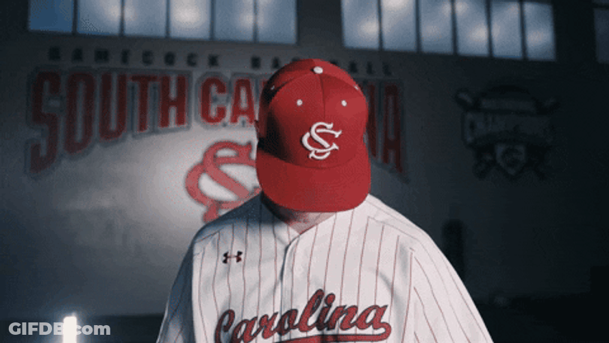 South Carolina Gamecocks Game On GIF