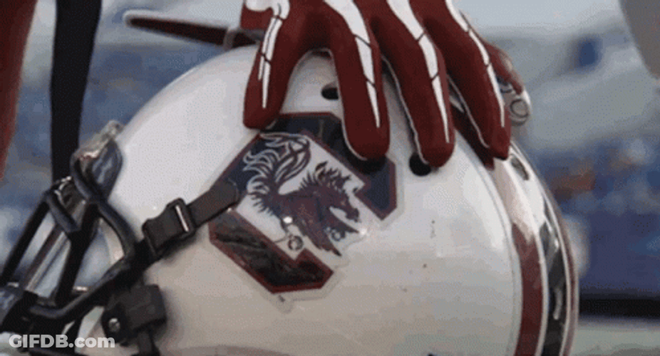 South Carolina Gamecocks Head Gear GIF