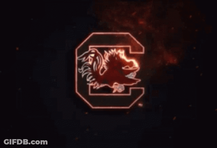 South Carolina Gamecocks Logo GIF