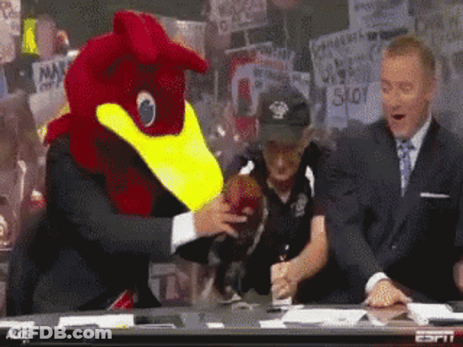 South Carolina Gamecocks Mascot GIF