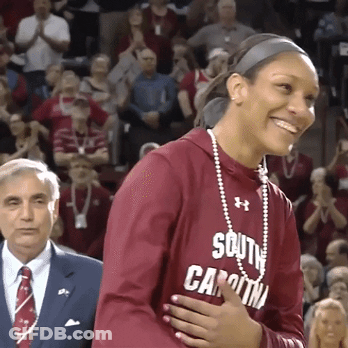 South Carolina Gamecocks Sweater GIF