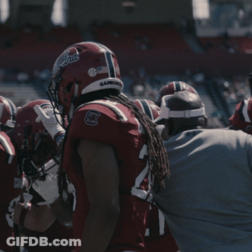 South Carolina Gamecocks Team Cheer GIF