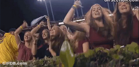 South Carolina GIF