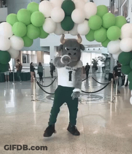 South Florida Bull Mascot With Green And White Balloons GIF