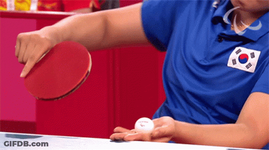 South Korean Table Tennis Player GIF