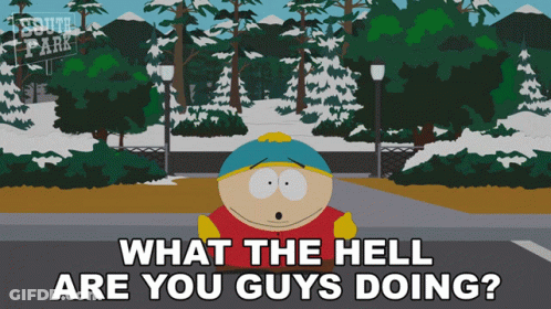 South Park Character Asking What The Hell Are You Guys Doing GIF