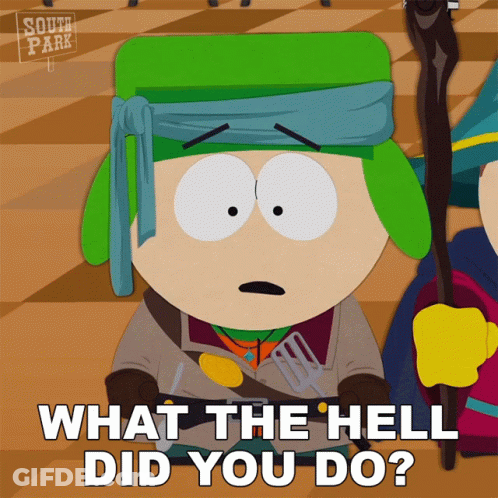 South Park Character Asking What The Hell Did You Do GIF