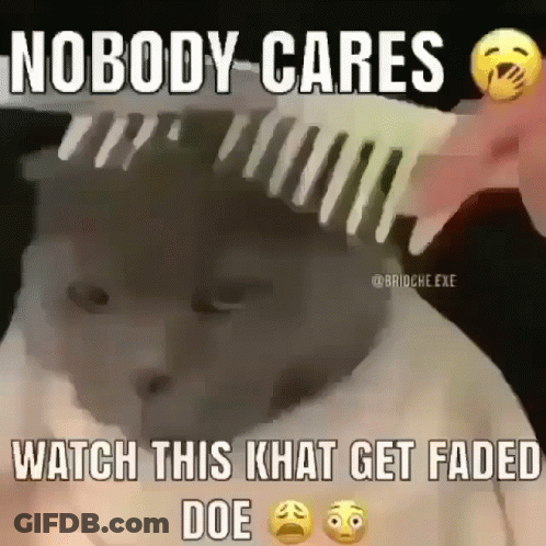 South Park Character I Could Watch All Day GIF