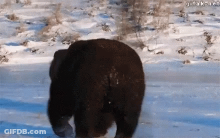 South Park Girl Sitting At Table GIF