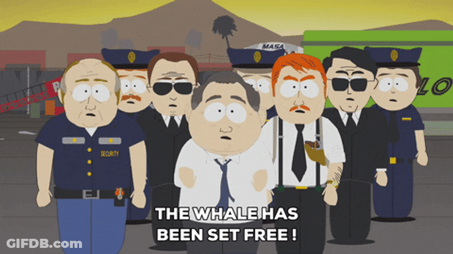 South Park The Whale GIF