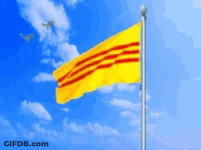 South Vietnam Flag Vnch GIF