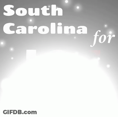 Southern Men You Are Not Obligated To Remain Heterosexual Poster GIF