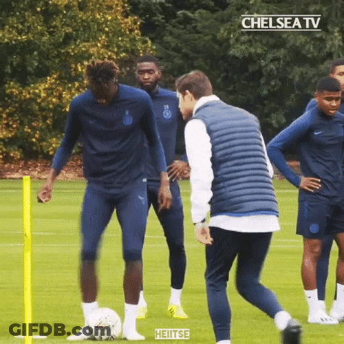 Southgate And Teammates Rehearsal GIF