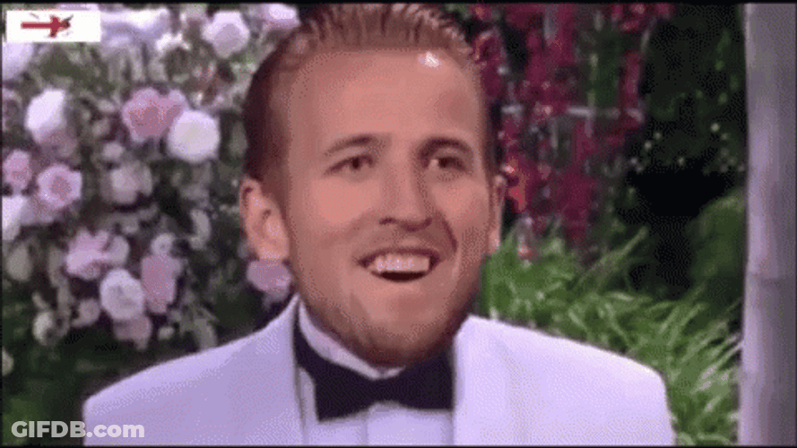 Southgate England Its Coming Home GIF