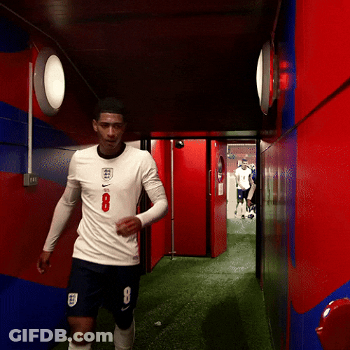 Southgate Giving Hands With Jude Bellingham GIF