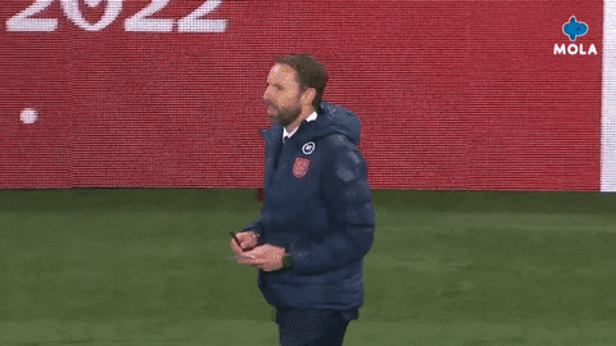 Southgate Looks Very Happy GIF
