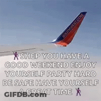 Southwest Airlines Plane Flying GIF