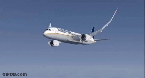 Southwest Airlines Plane Flying In Blue Sky GIF